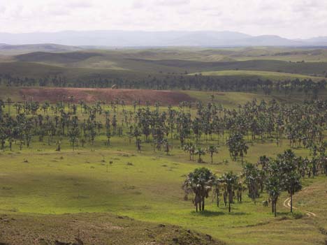 a photo
of the gran sabana near santa elena, venezuela